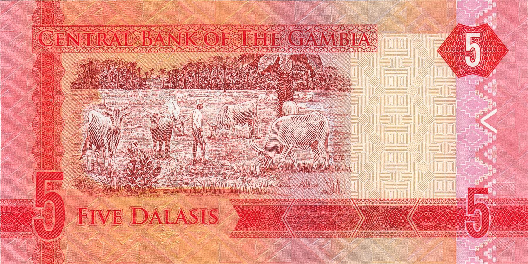 Gambia | 5 Dalasis Banknote | 2015 | Giant Kingfisher | Cattles | Palm Trees