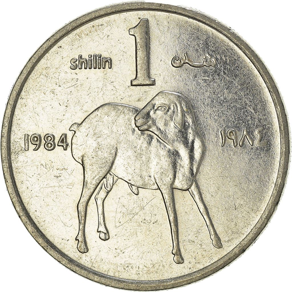 Somalia | 1 Shilling Coin | Lamb | FAO | Km:27A | 1984