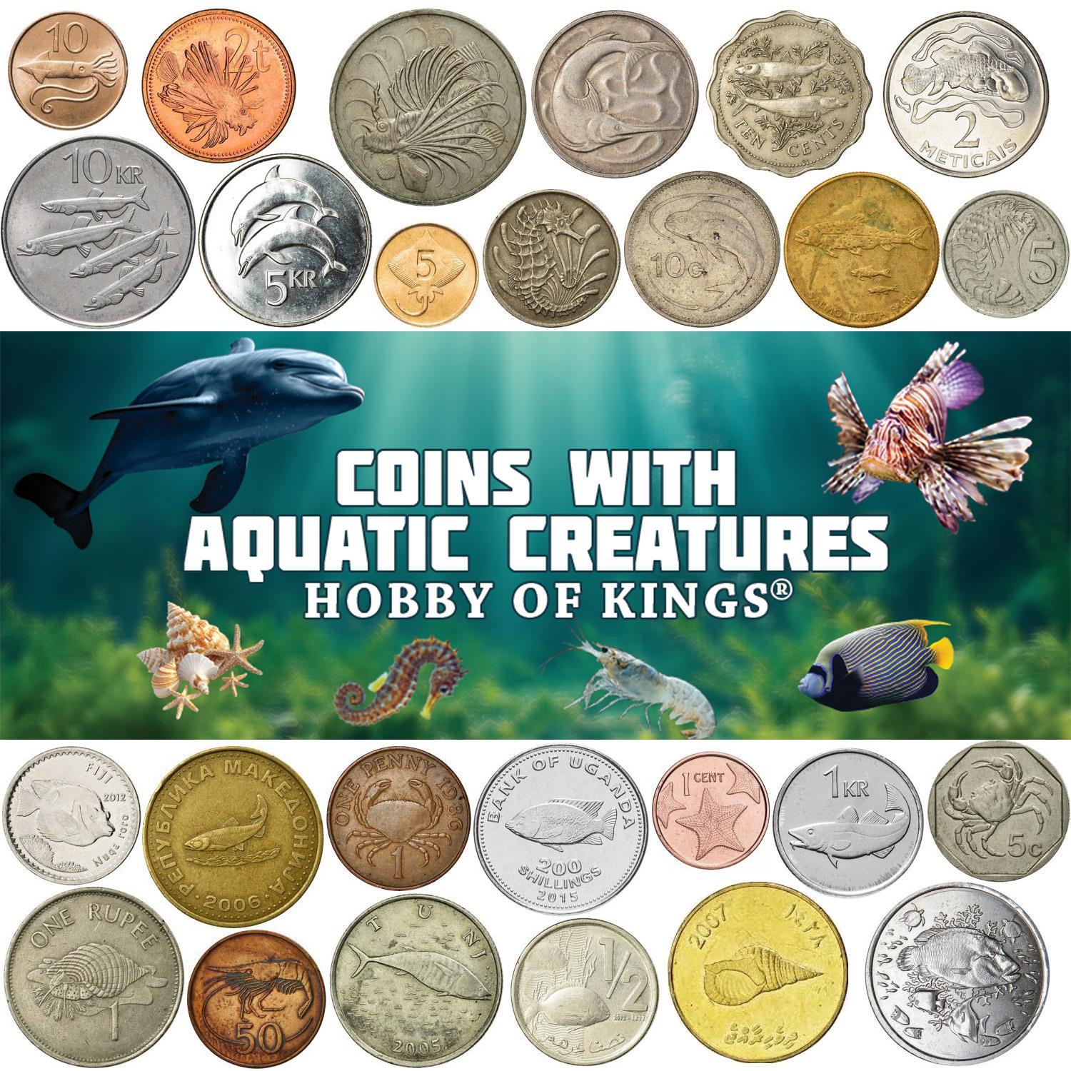 Different Coins With Different Aquatic Creatures | Fish, Dolphins, Squids, Crabs, Shrimps, Starfish and More