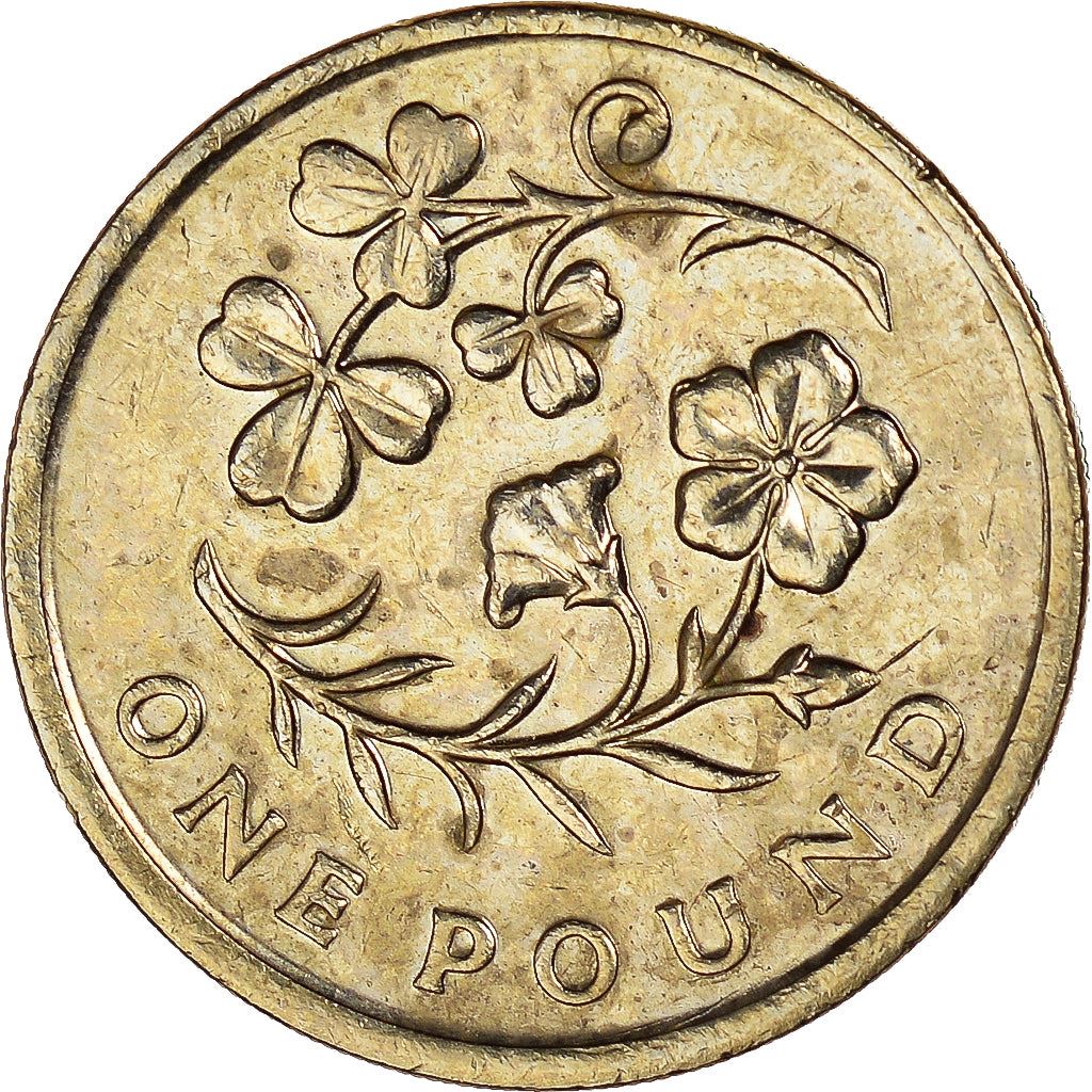 United Kingdom Coin 1 Pound | Elizabeth II 4th portrait | Flax and Shamrock | 2014