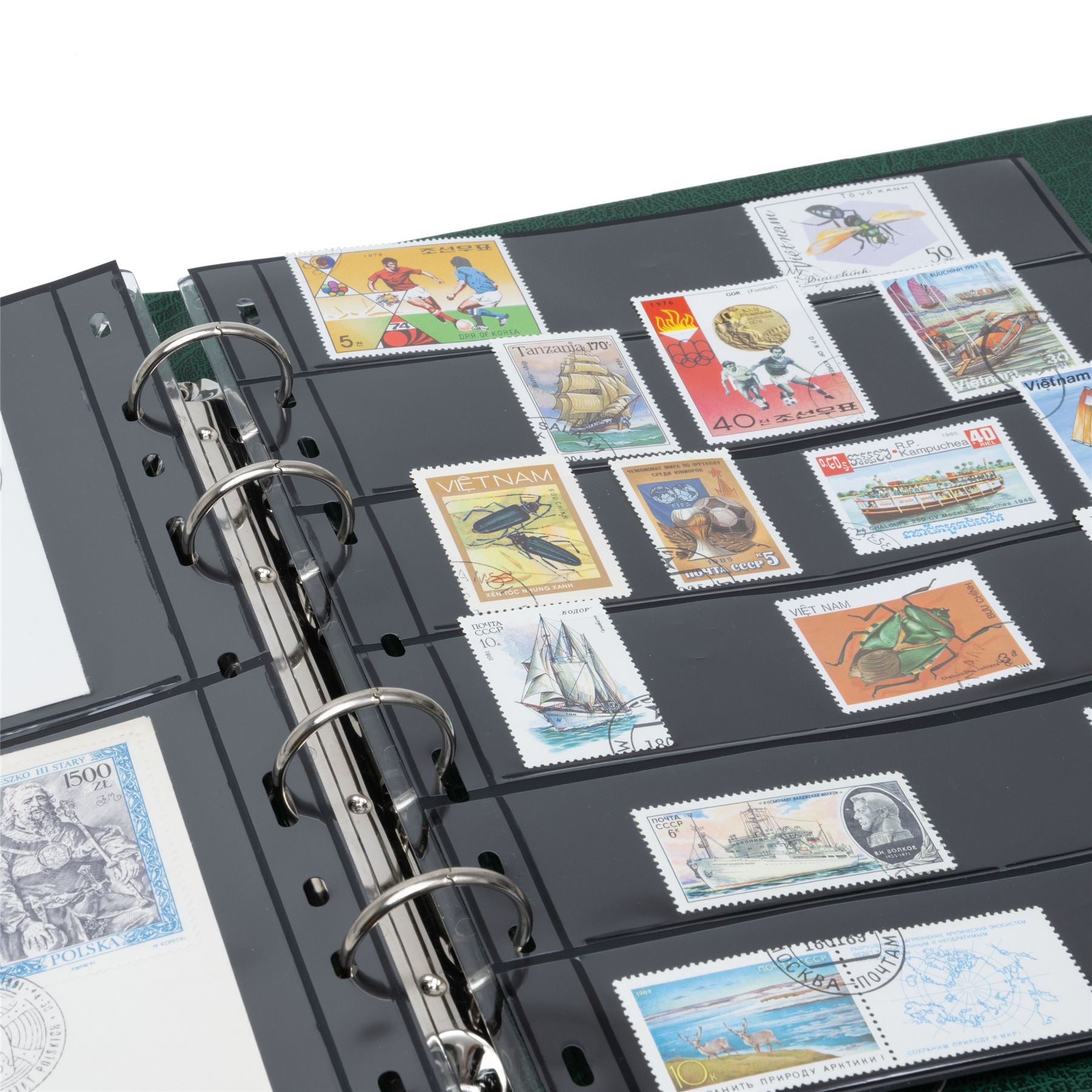 OPTIMA FLAT Ring Binder | Coin and Banknote Album | Slipcase Optional | Up to 50 Sheet Capacity | 5 Color Options