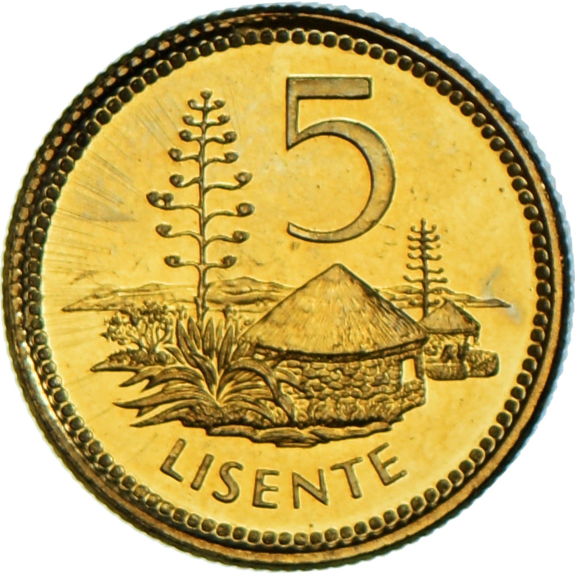 Lesotho | 5 Lisente Coin | Pine tree | Km:62 | 1998 - 2006