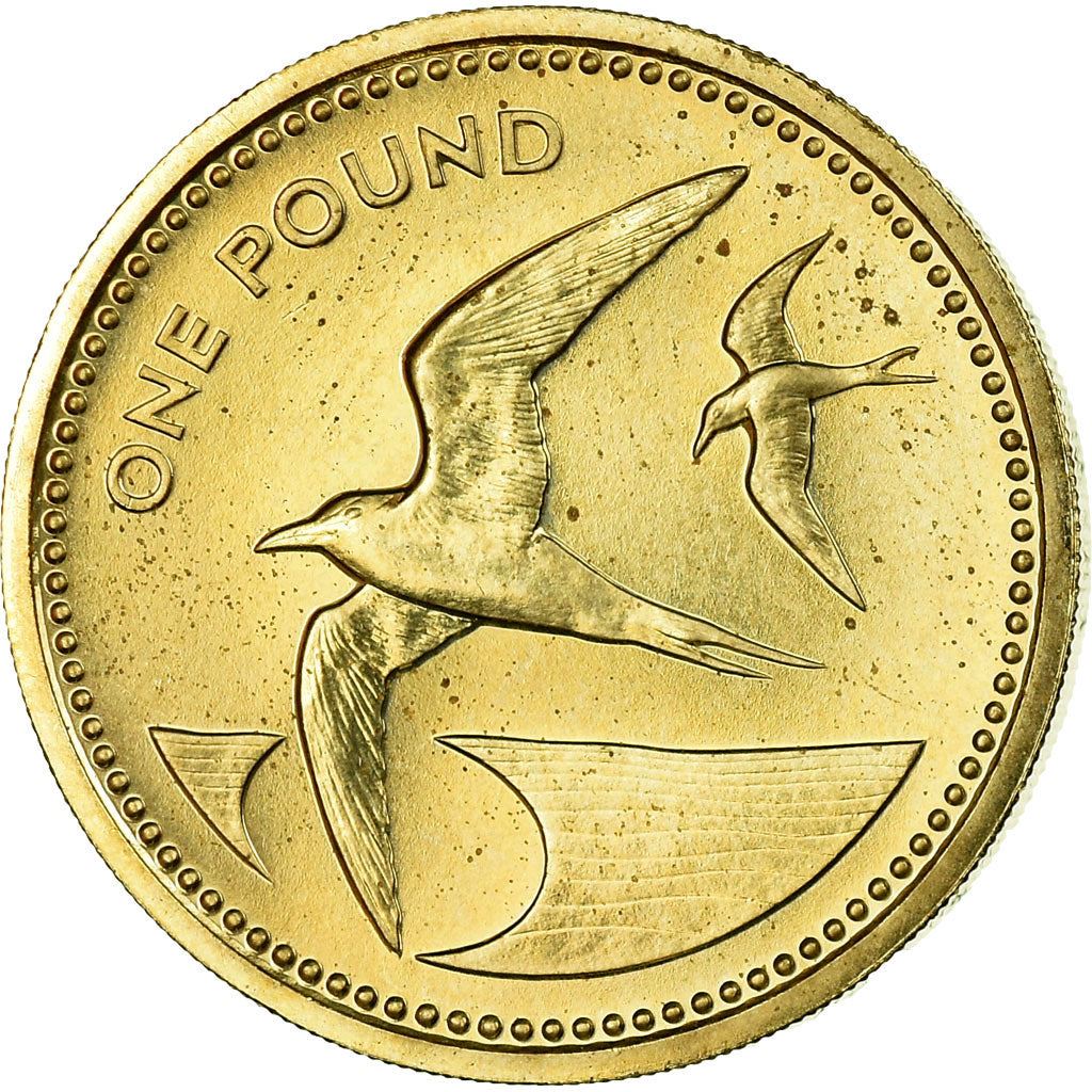 Santa Elena y Ascensión | Moneda de 1 Libra | Isabel II | Ave Charrán Sooty | Km:6 | 1984