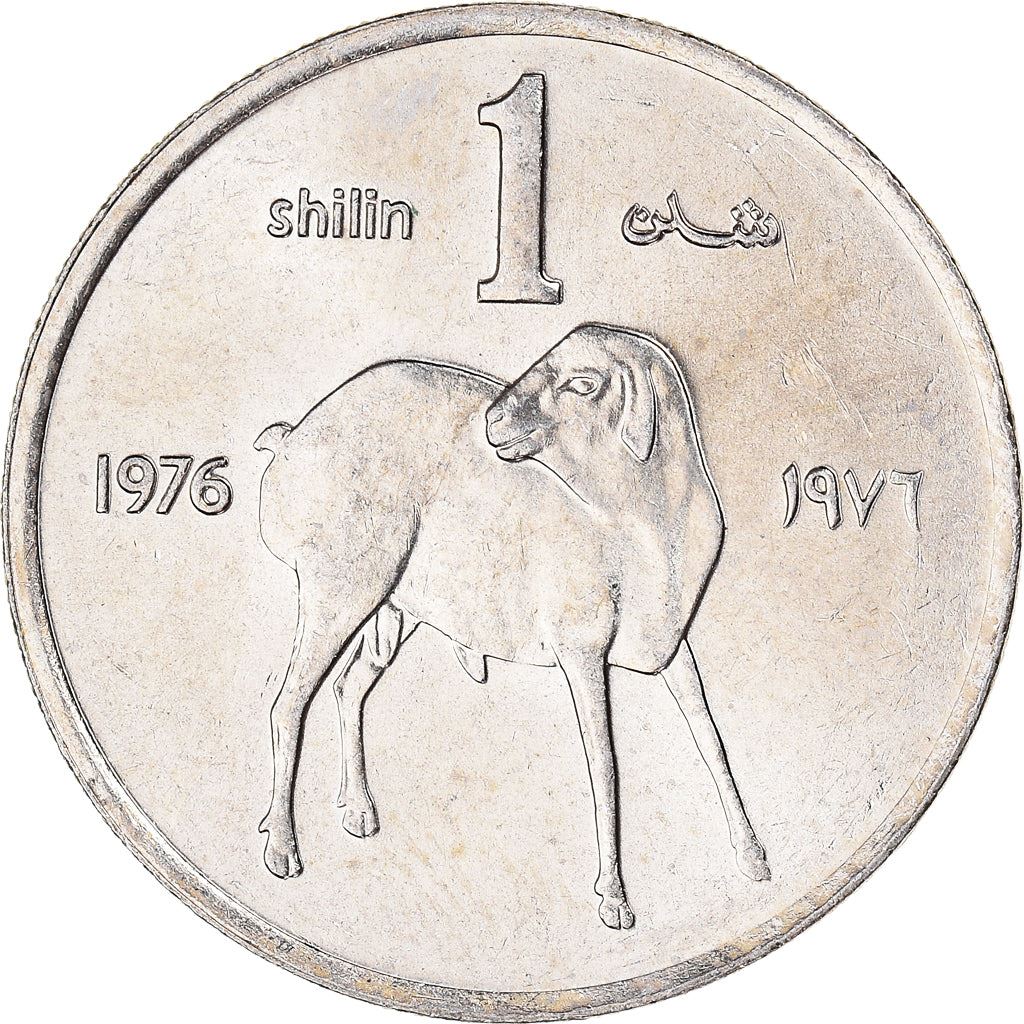 Somalia | 1 Shilling Coin | FAO | Lamb | Km:27 | 1976