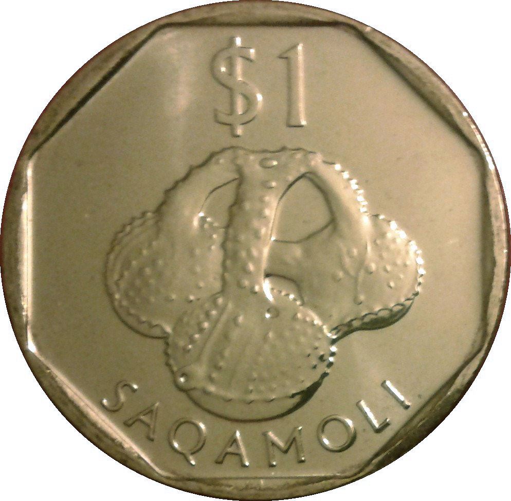 Fiji | 1 Dollar Coin | Ceramic water bottle | KM:123 | 2009 - 2010