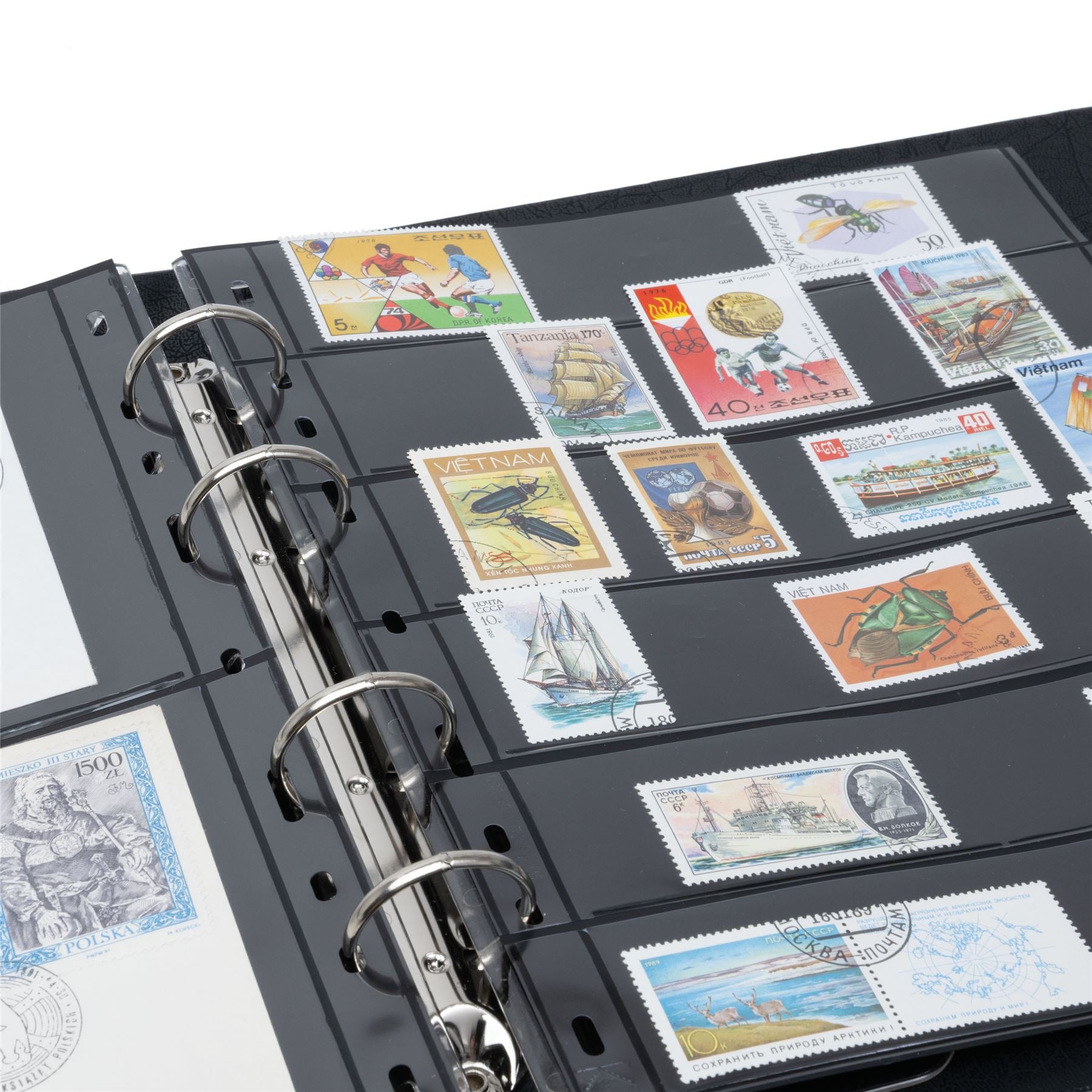 OPTIMA FLAT Ring Binder | Coin and Banknote Album | Slipcase Optional | Up to 50 Sheet Capacity | 5 Color Options