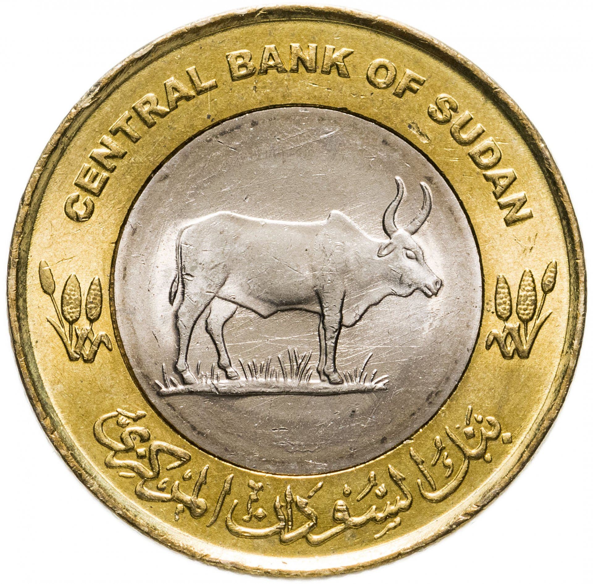 スーダン|20ピアストル/キルシュ硬貨|アンコール牛|KM:124|2006年