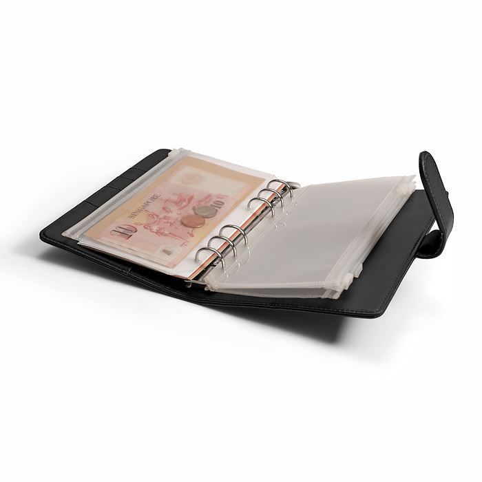 Travel Money Ring Binder | 5 Zip-Up Sheets Included | Three Colours