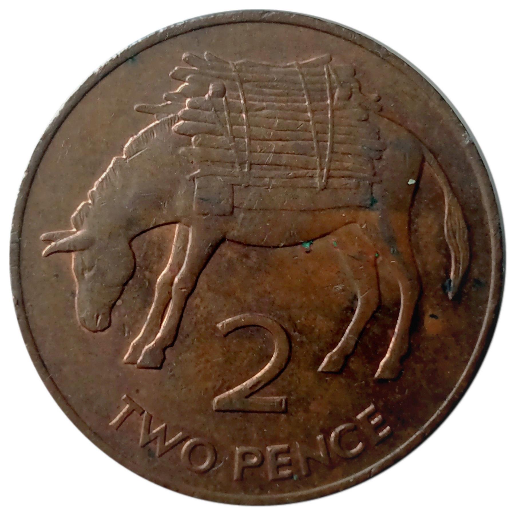 Sant'Elena e Ascensione | Moneta da 2 Pence | Elisabetta II | Asino | Legna da ardere | KM:12 | 1991