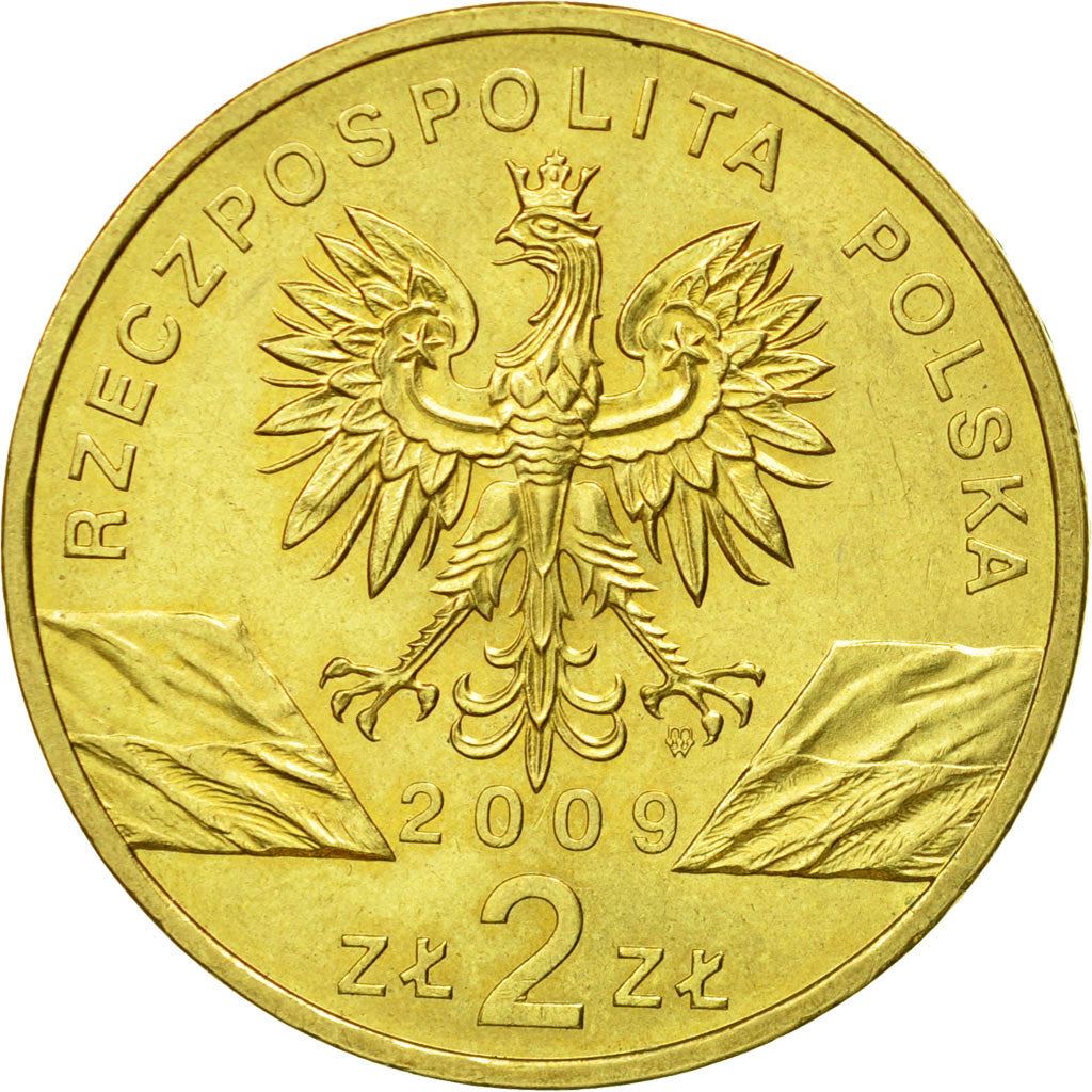 Poland | 2 Zlotys Coin | Jaszczurka zielona | Y:678 | 2009