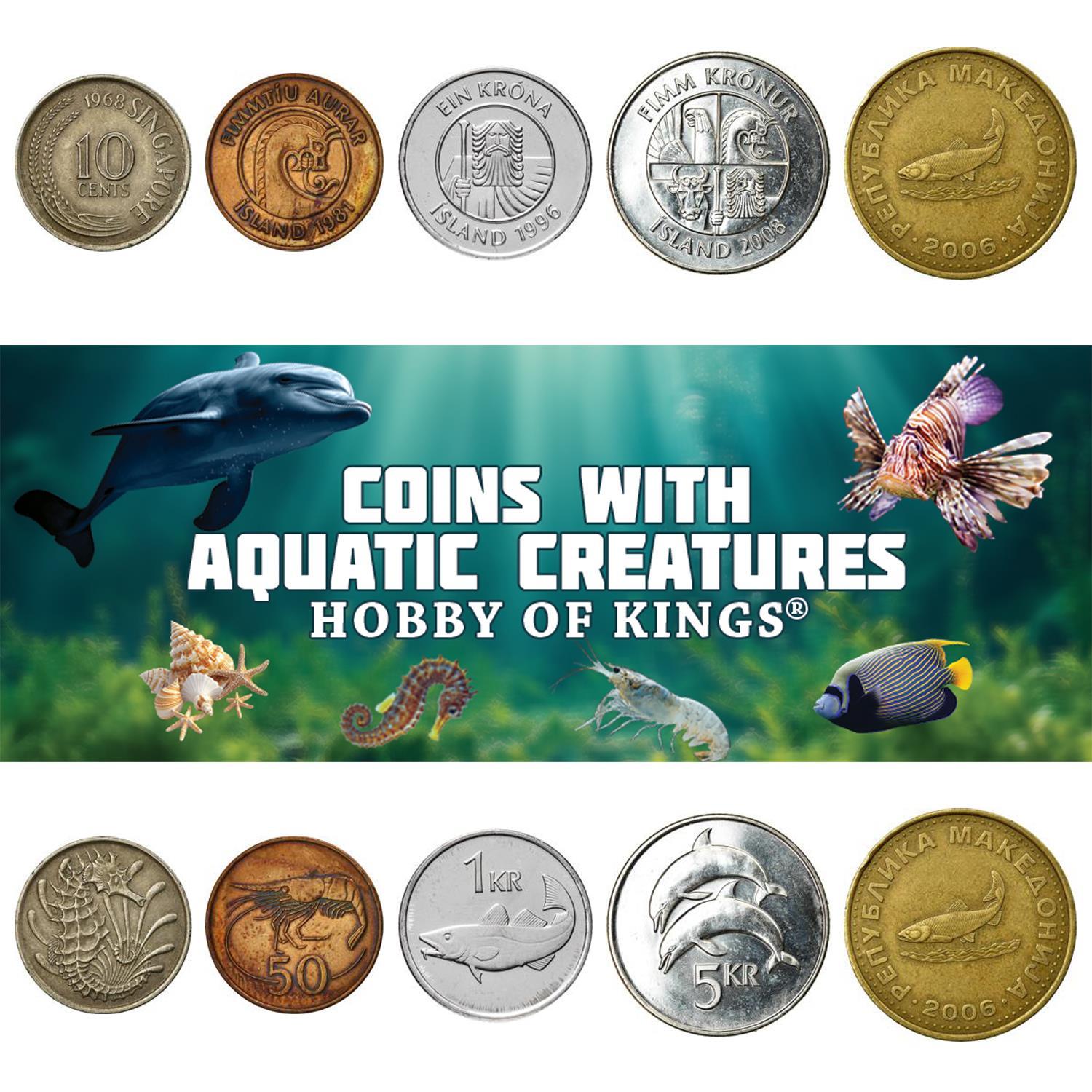 Different Coins With Different Aquatic Creatures | Fish, Dolphins, Squids, Crabs, Shrimps, Starfish and More