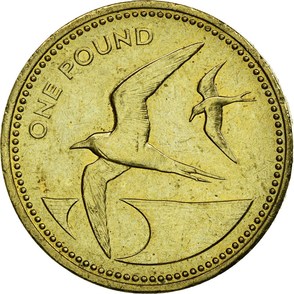 Sainte-Hélène et Ascension | Pièce de 1 livre | Elizabeth II | Oiseau Sterne fuligineux | Km : 17 | 1991 - 2015