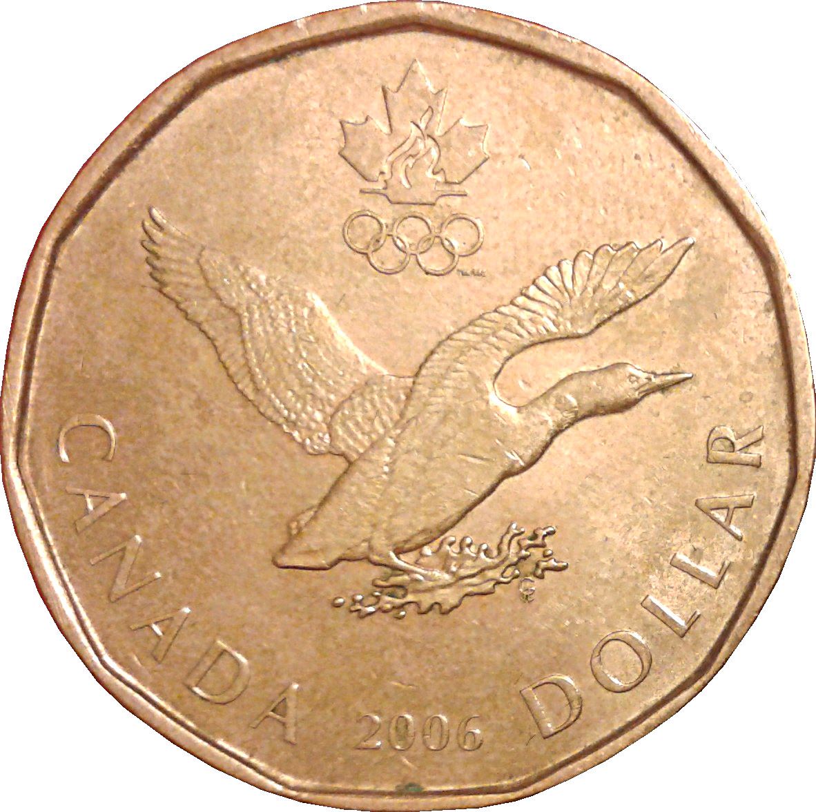 Canada | 1 Dollar Coin | Lucky Loonie | Bronze plated nickel | KM:630 | 2006