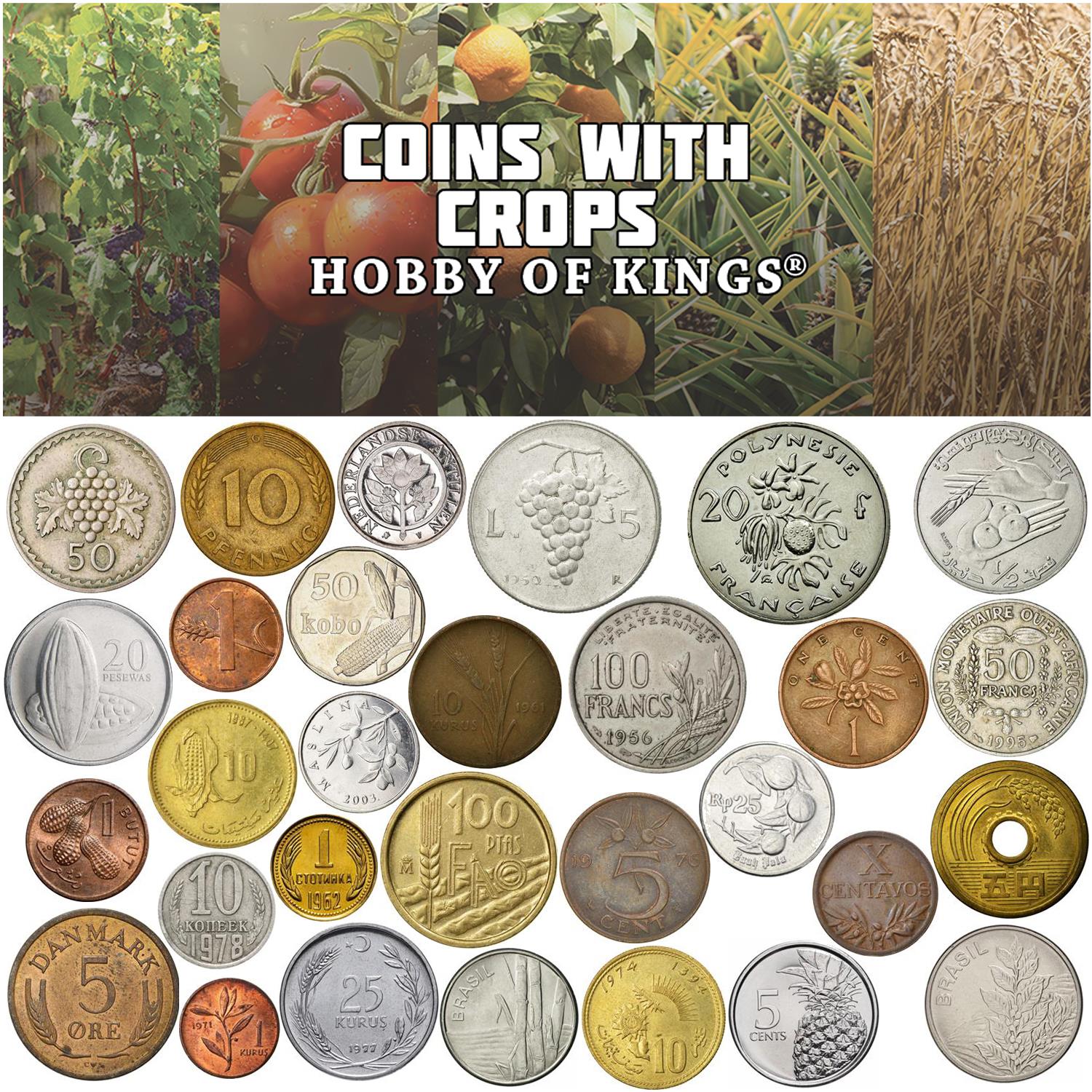 Different Coins with Crops | Oranges, Wheat, Rice, Maize, Olives, Grapes, Cocoa, Coconuts, Corn, Sunflowers, Pineapples, Sugarcane, and more