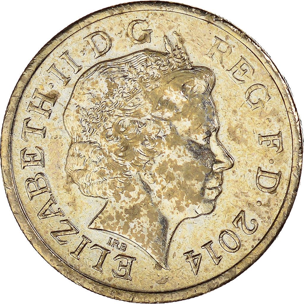 United Kingdom Coin 1 Pound | Elizabeth II 4th portrait | Flax and Shamrock | 2014