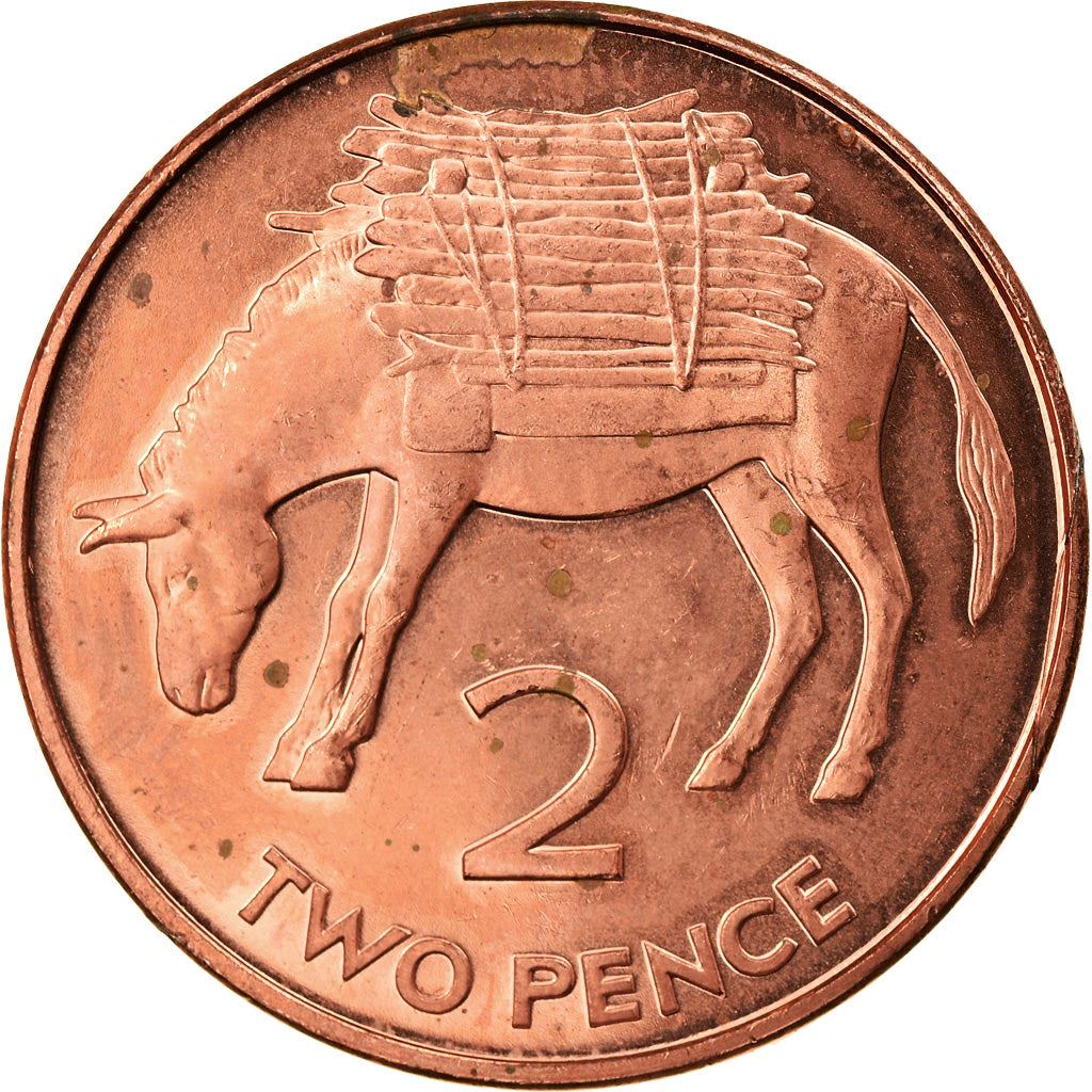 Sant'Elena e Ascensione | Moneta da 2 Pence | Elisabetta II | Asino | Legna da ardere | Km:12A | 1998 - 2022