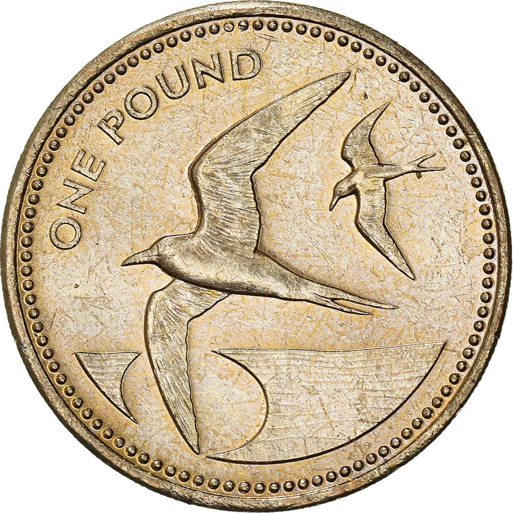 Sant'Elena e Ascensione | Moneta da 1 Sterlina | Elisabetta II | Uccello Sooty Tern | Km:17 | 1991 - 2015