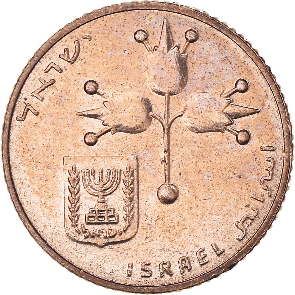 Israel | 10 New Agorot Coin | Grenadine Fruit | KM108 | 1980 - 1985
