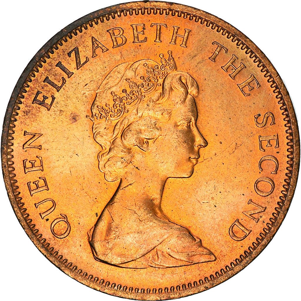 Jersey Coin Islander 2 Pence | Queen Elizabeth II | Lions Shield | KM47 | 1981