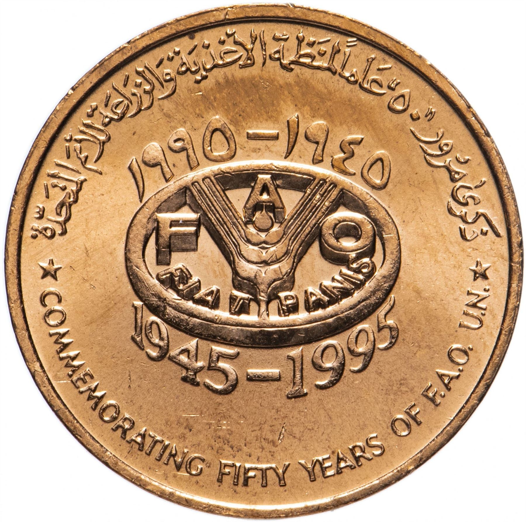 Omã | 10 moedas Kissa | Frio | FAO | Espadas Cruzadas | KM94 | 1995