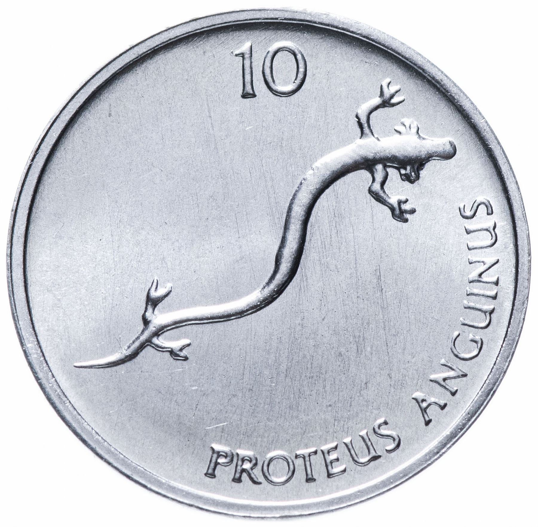 Slowenien 10 Stotinov Münze | Salamander | Olm | KM7 | 1992 - 2006