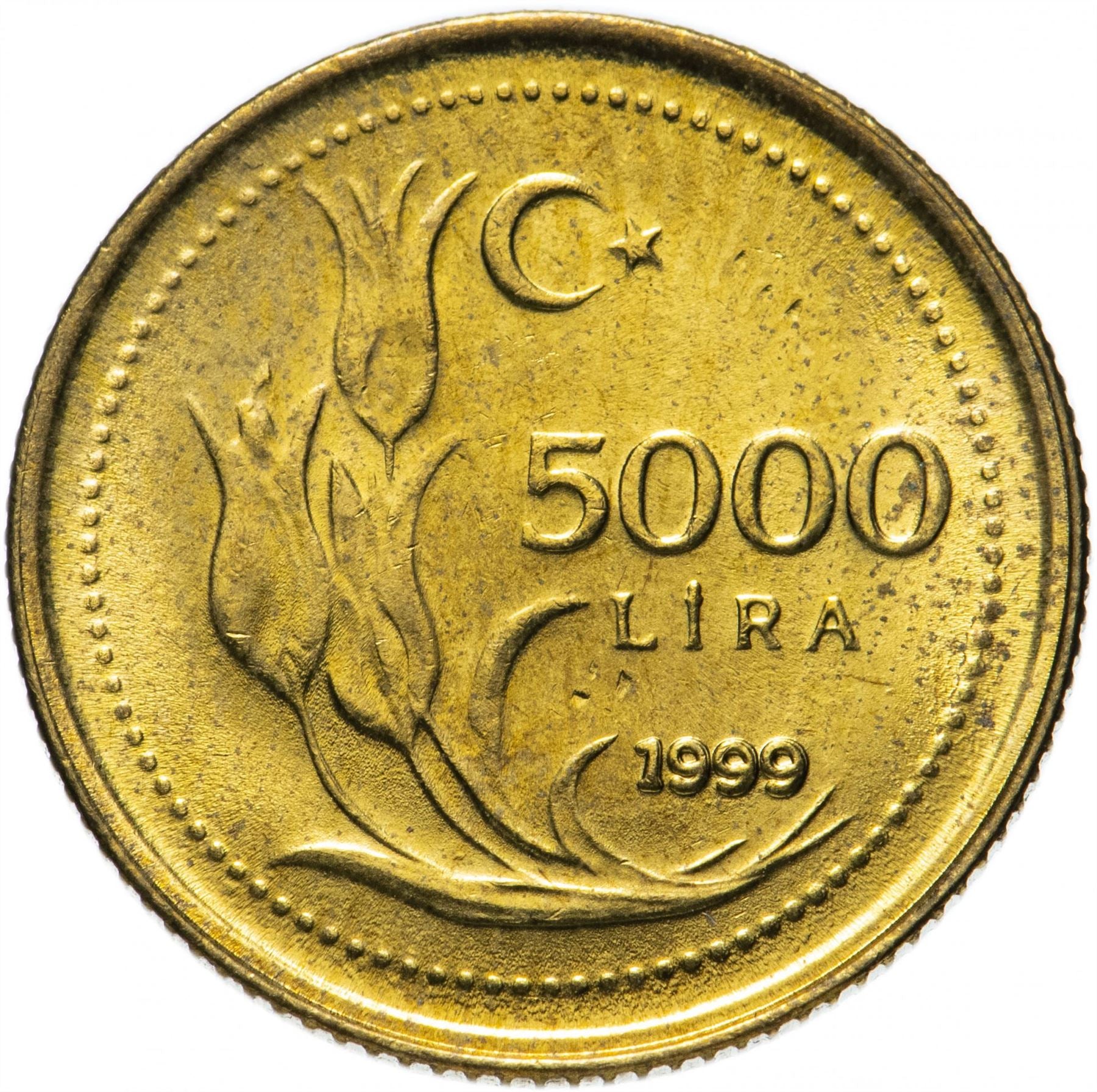 Moneta Turchia Lira Turca 5000 | Presidente Mustafa Kemal Ataturk | Tulipano | KM1029.1 | 1995 - 2000