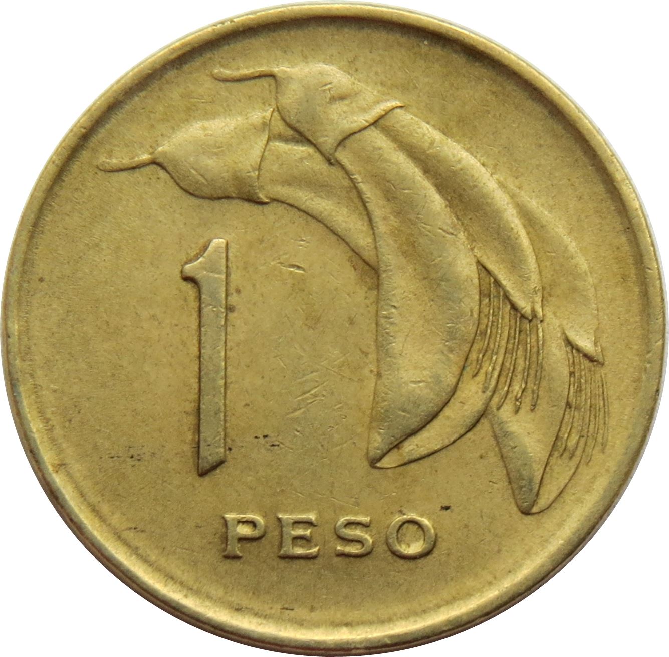 Uruguay Coin Uruguayan 1 Peso | Erythrina Crista-galli | Sun | KM52 | 1969