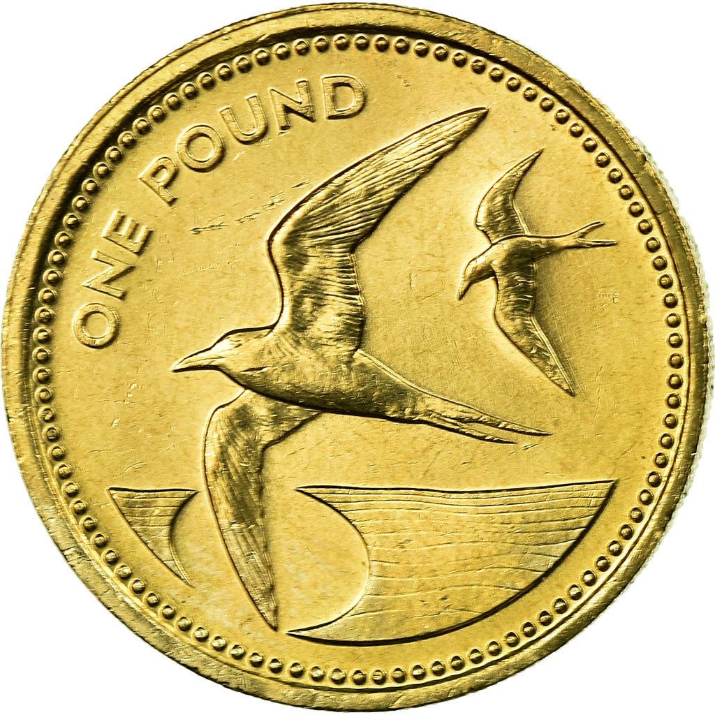 Sant'Elena e Ascensione | Moneta da 1 Sterlina | Elisabetta II | Uccello Sooty Tern | Km:6 | 1984