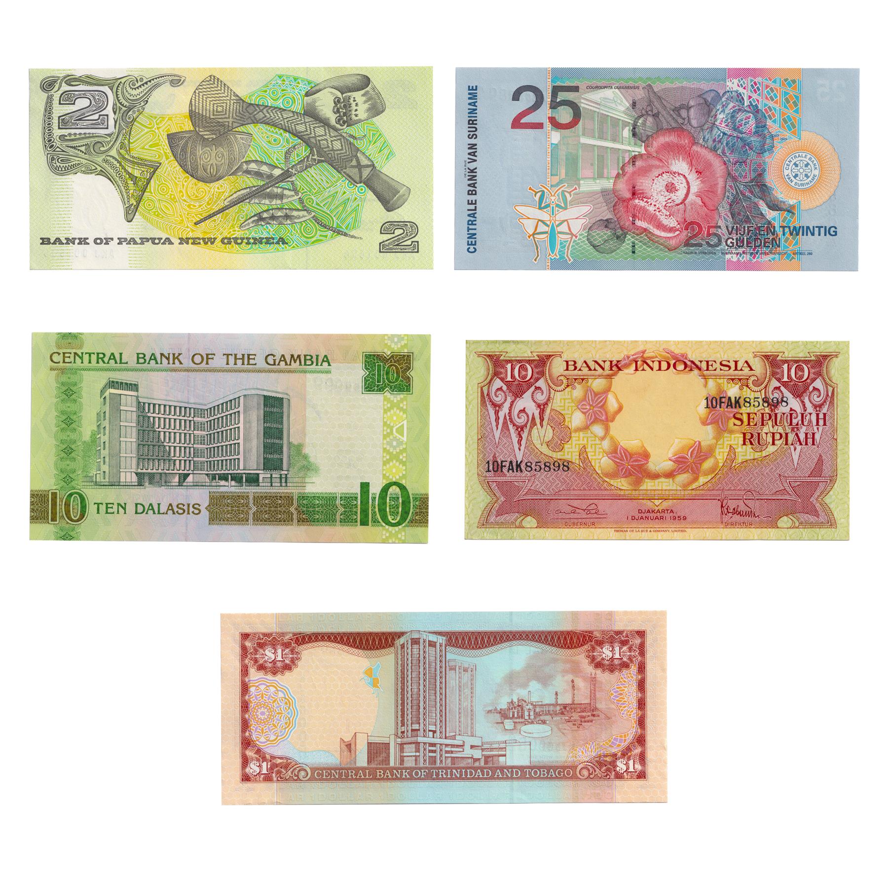 Zestaw 5 banknotów | Ptaki | Kakadu | Afrykański ibis święty | Rajski ptak | Tukany