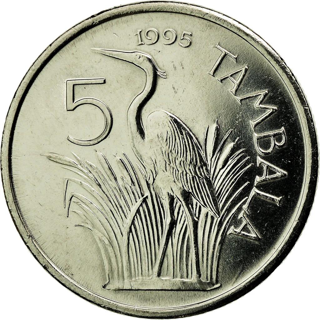 Malawi 5 Tambala Coin | Purple Heron | KM32 | 1995 - 2003