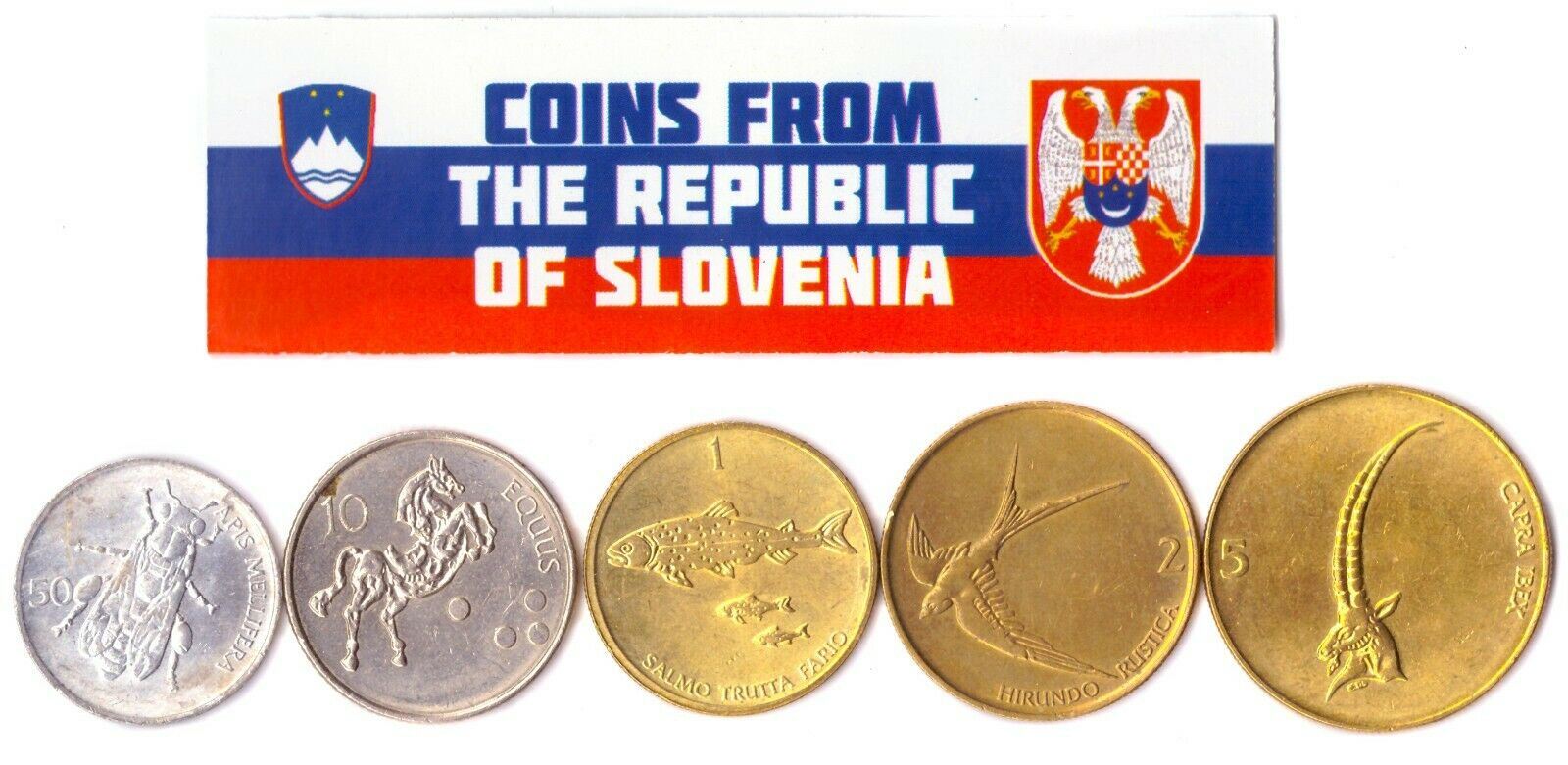 5 Mixed Coins From Slovenia | 50 Stotinov - 5 Tolarjev | 1992 - 2006