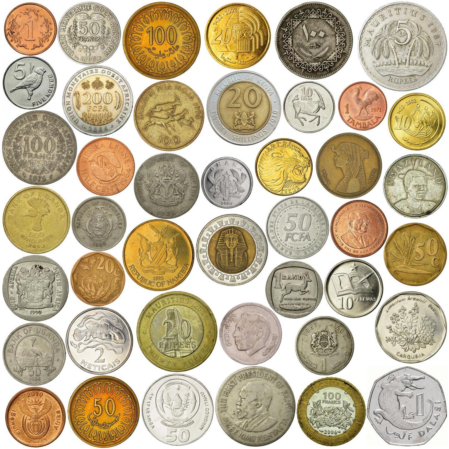 Different Coin Collection from Africa | Exotic African Wildlife | Animals and Flowers | Historical Leaders | Authentic Collectible Set