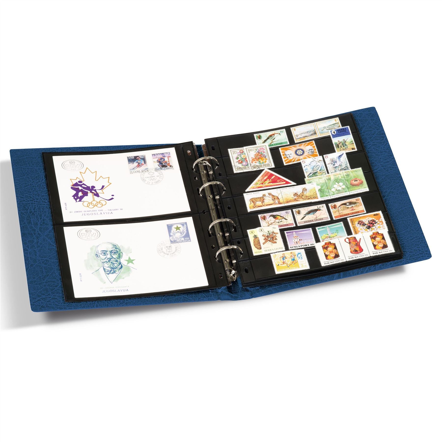 OPTIMA FLAT Ring Binder | Coin and Banknote Album | Slipcase Optional | Up to 50 Sheet Capacity | 5 Color Options