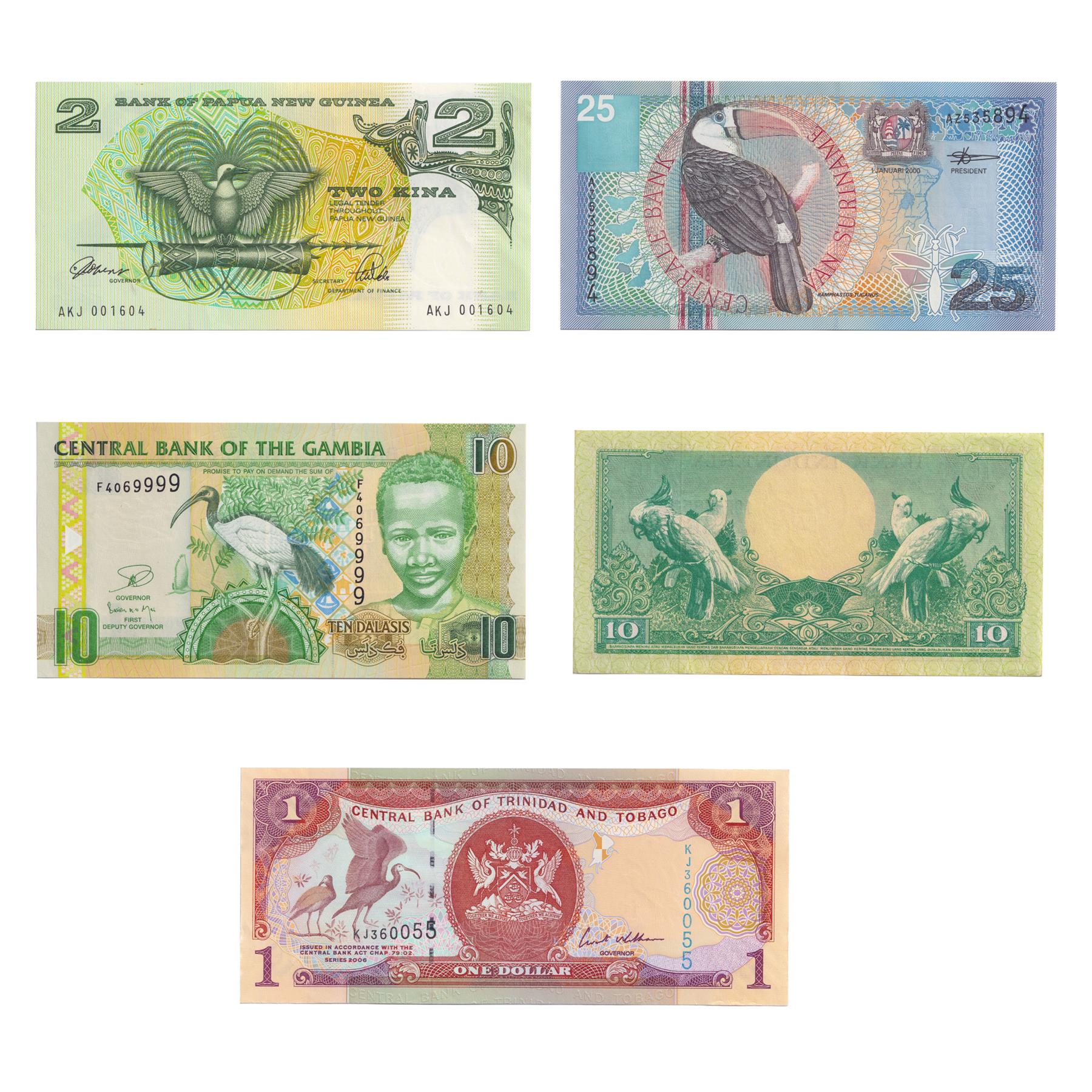 Zestaw 5 banknotów | Ptaki | Kakadu | Afrykański ibis święty | Rajski ptak | Tukany