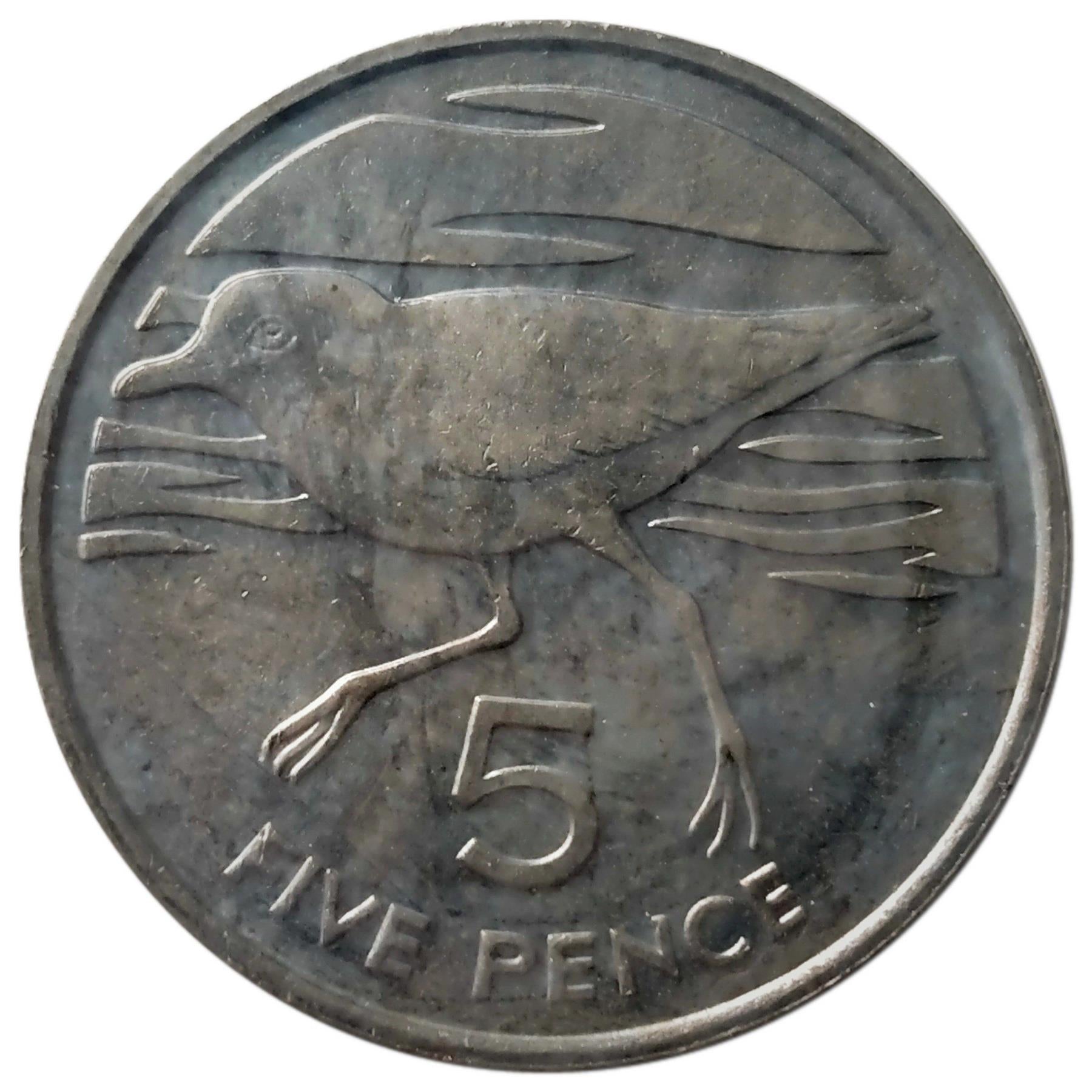 Sant'Elena e Ascensione | Moneta da 5 Pence | Elisabetta II | Uccello Rainpiper | KM:14 | 1991