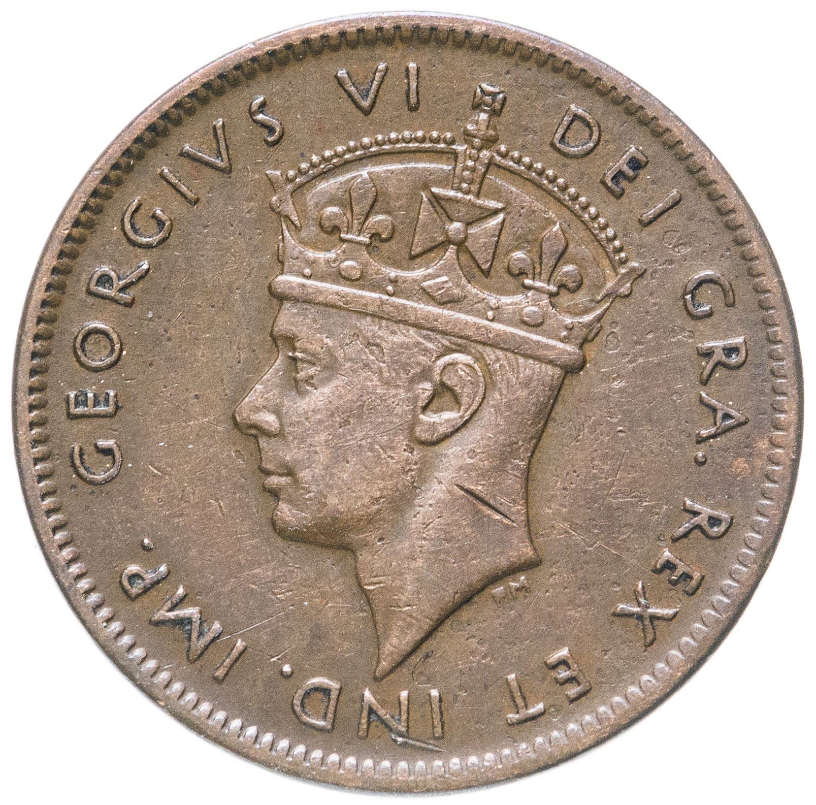 Newfoundland | 1 Cent Coin | Purple pitcher plant | Km:18 | 1938 - 1947