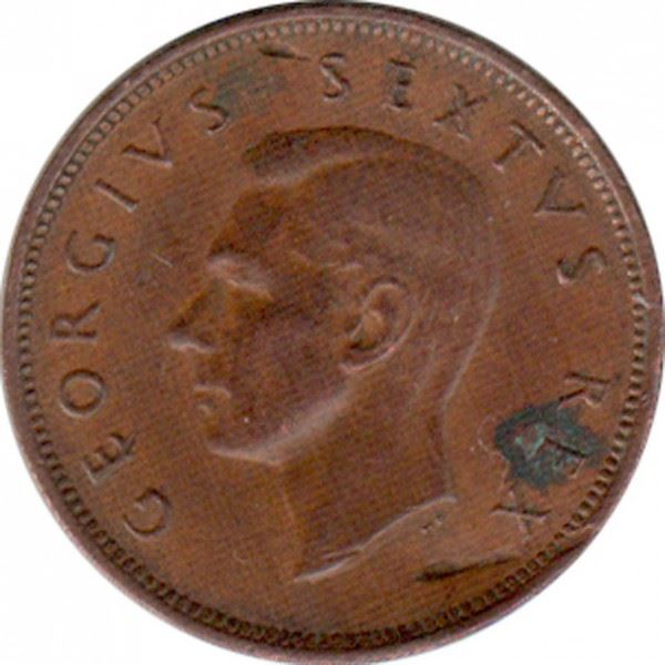 South Africa 1/2 Penny Coin | George VI | KM33.2 | 1951 - 1952