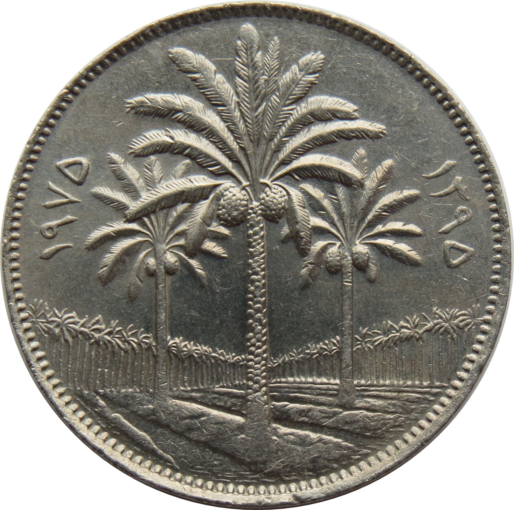 Iraq 100 Fils Coin | Palm Tree | KM129 | 1970 - 1979