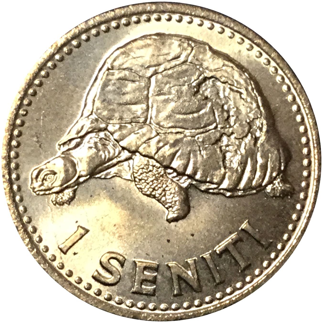 トンガ | 1セニティ硬貨 | トゥポウ4世王 | カメ | KM:27a | 1974