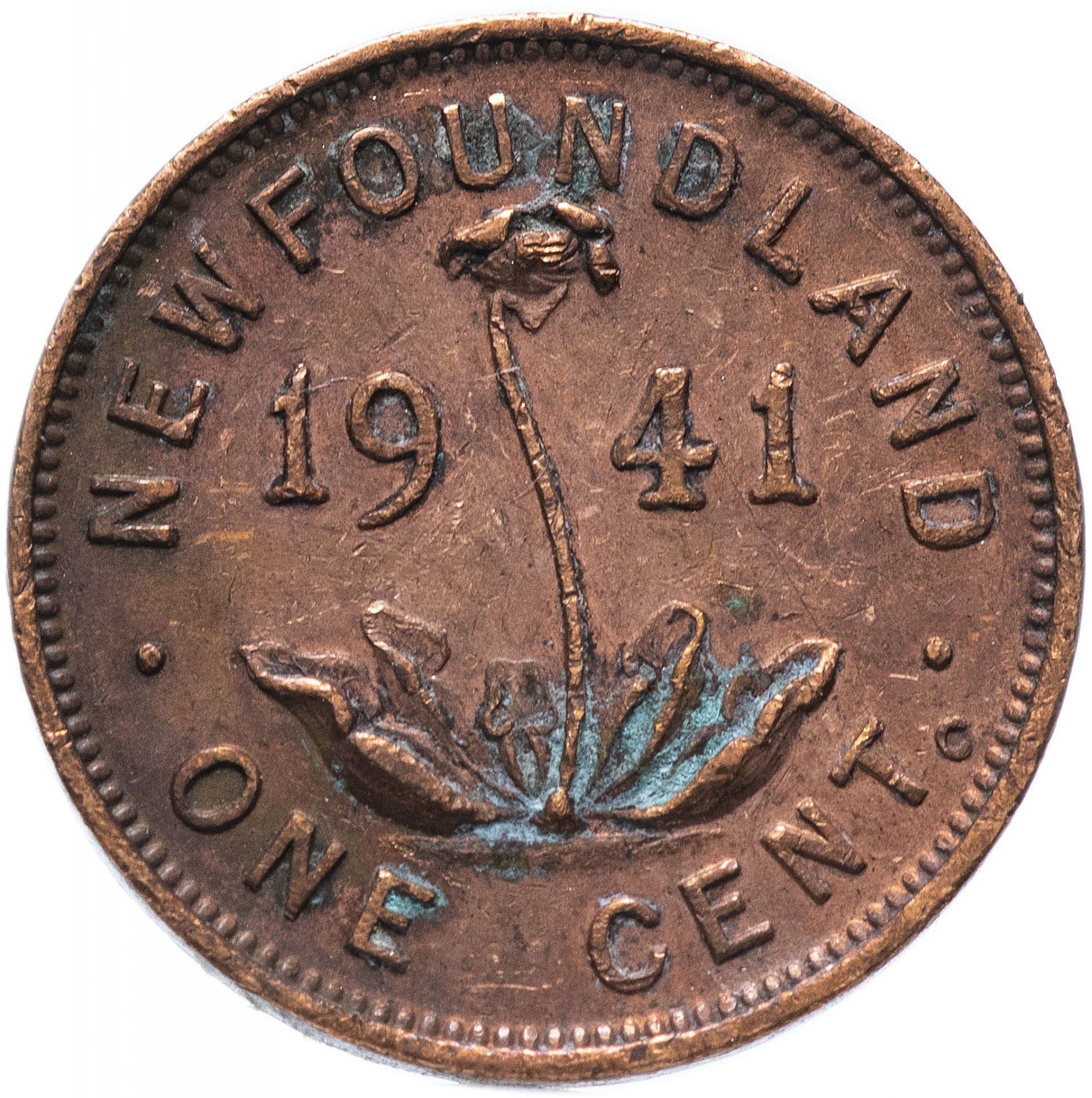 Newfoundland | 1 Cent Coin | Purple pitcher plant | Km:18 | 1938 - 194