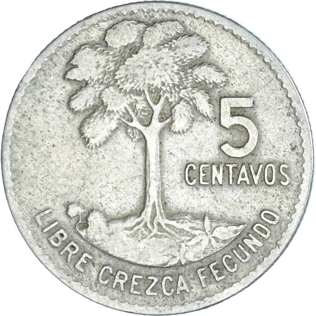 Guatemala | 5 Centavos Coin | Kapok Tree | Km:266 | 1965 - 1970