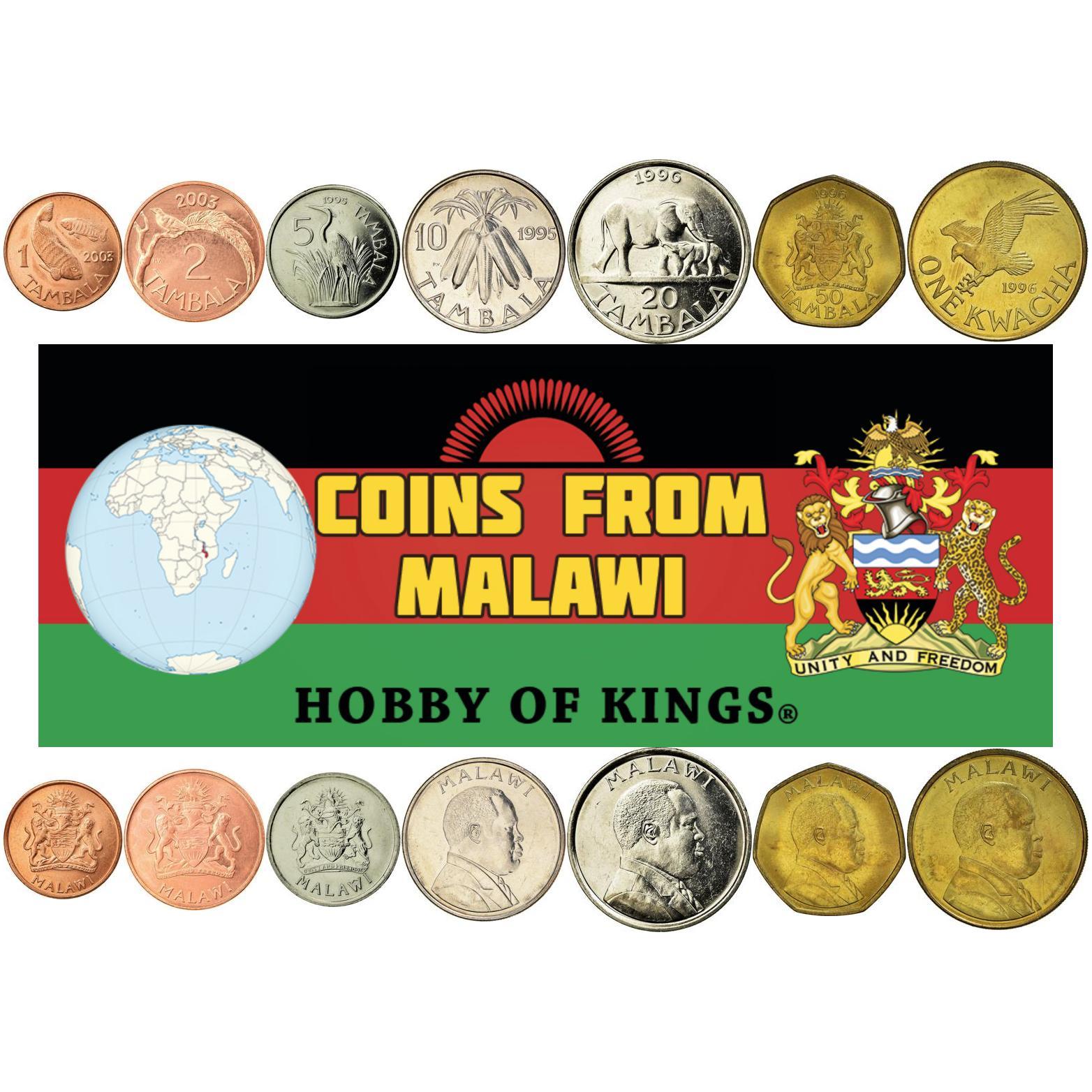 Malawian 7 Coin Set 1 2 5 10 20 50 Tambala 1 Kwacha | Bakili Muluzi | Elephant | Pin-Tailed Whydah | Purple Heron | African Fish Eagle | Tilapia | Corn | Malawi | 1995 - 2004