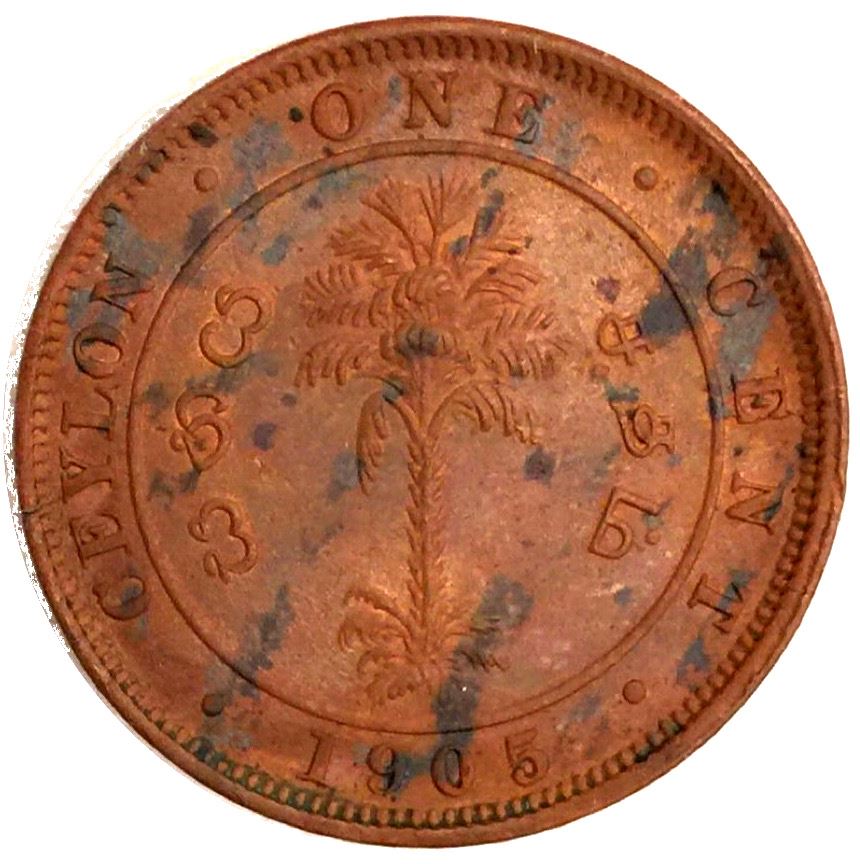 Ceylon | 1 Cent Coin | King Edward VII | Palm Tree | KM102 | 1904 - 1910