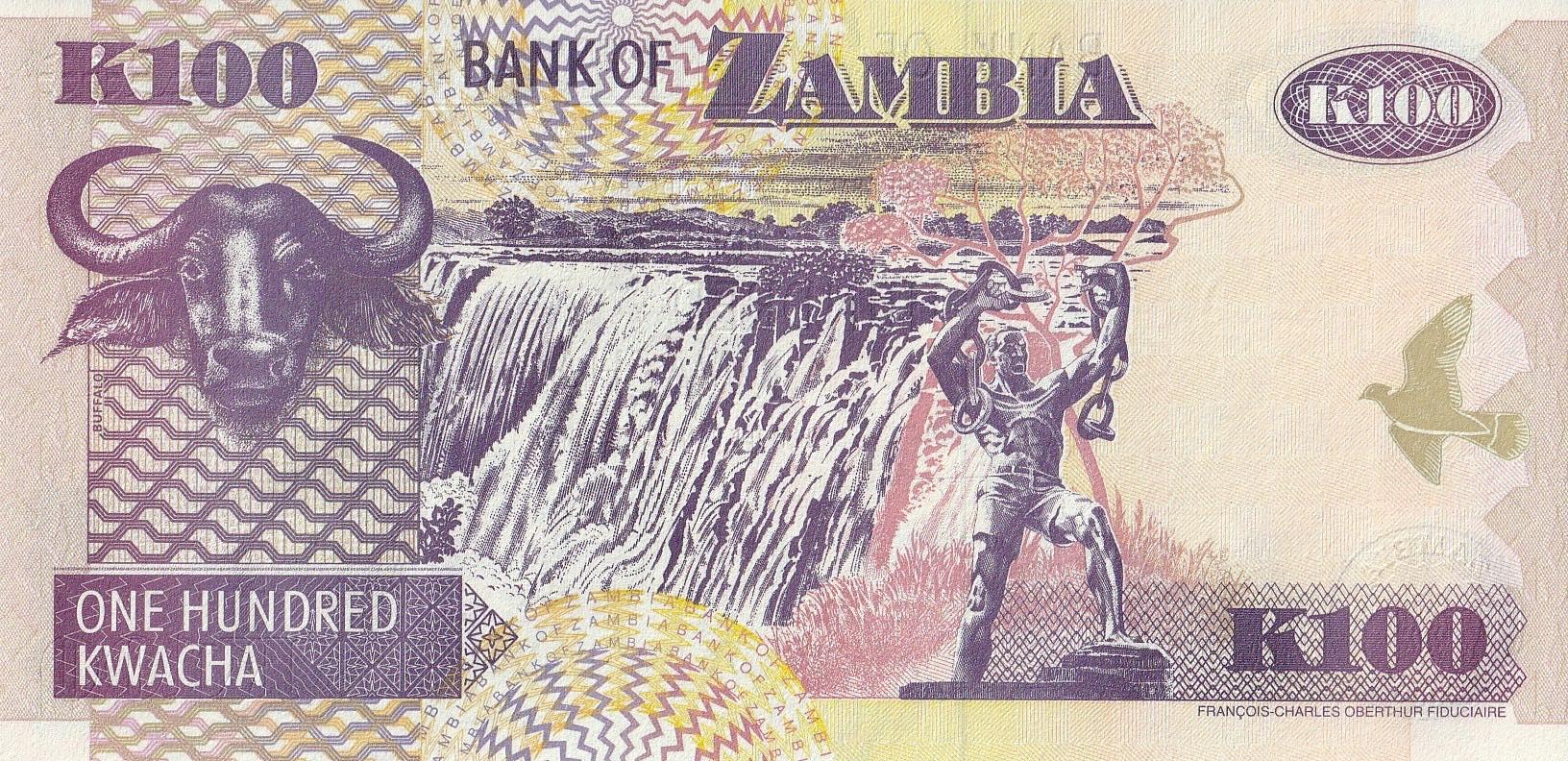 Zambia | 100 Kwacha Banknote | 1992 - 2011 | African Fish Eagle | Palm Tree | African Buffalo | Freedom Statue | Victoria Falls