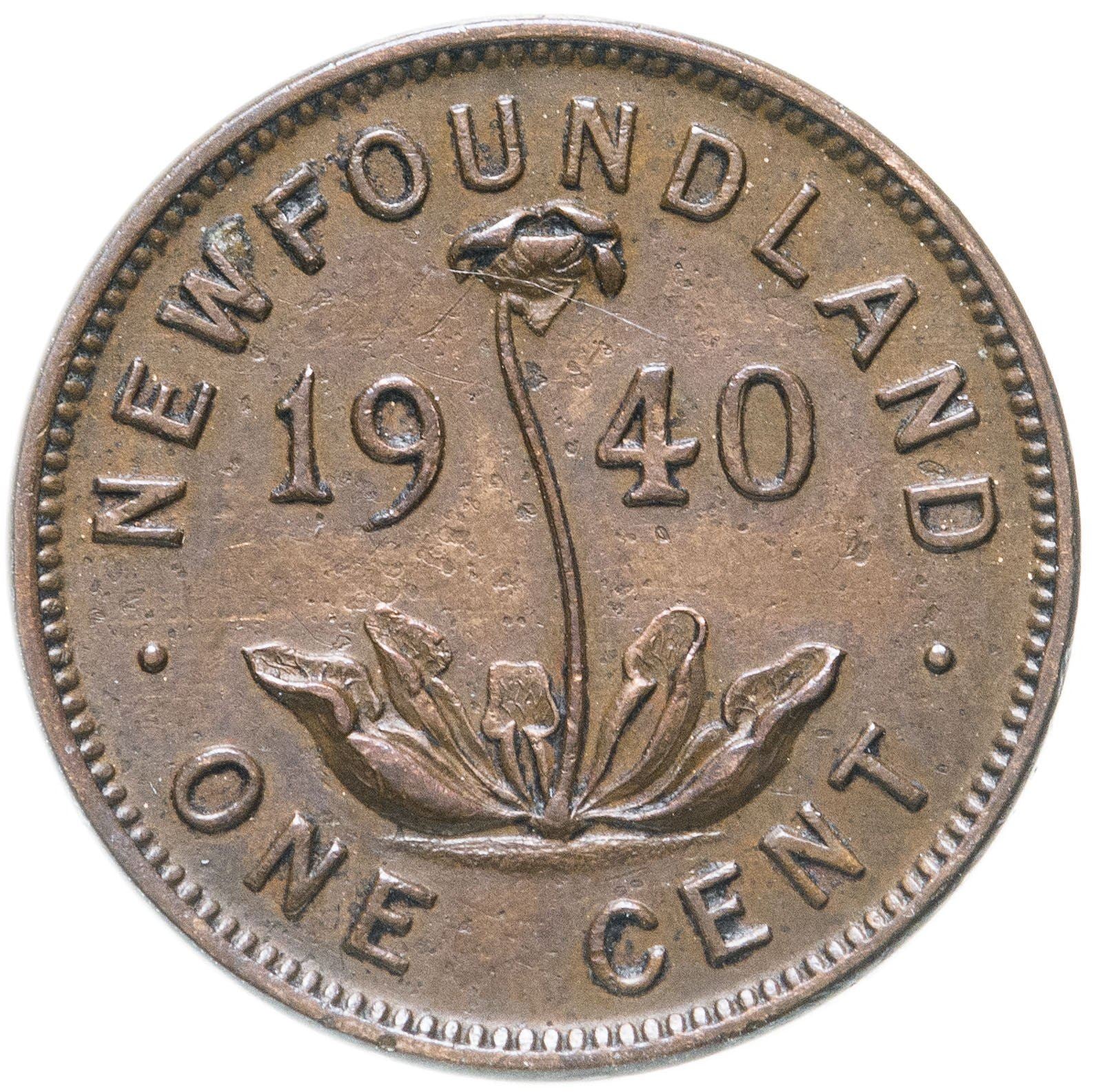 Newfoundland | 1 Cent Coin | Purple pitcher plant | Km:18 | 1938 - 1947