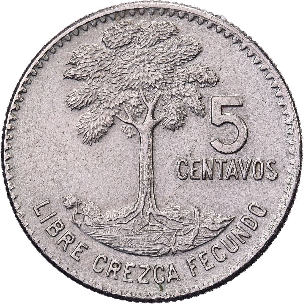 Guatemala | 5 Centavos Coin | Kapok Tree | Km:266 | 1965 - 1970