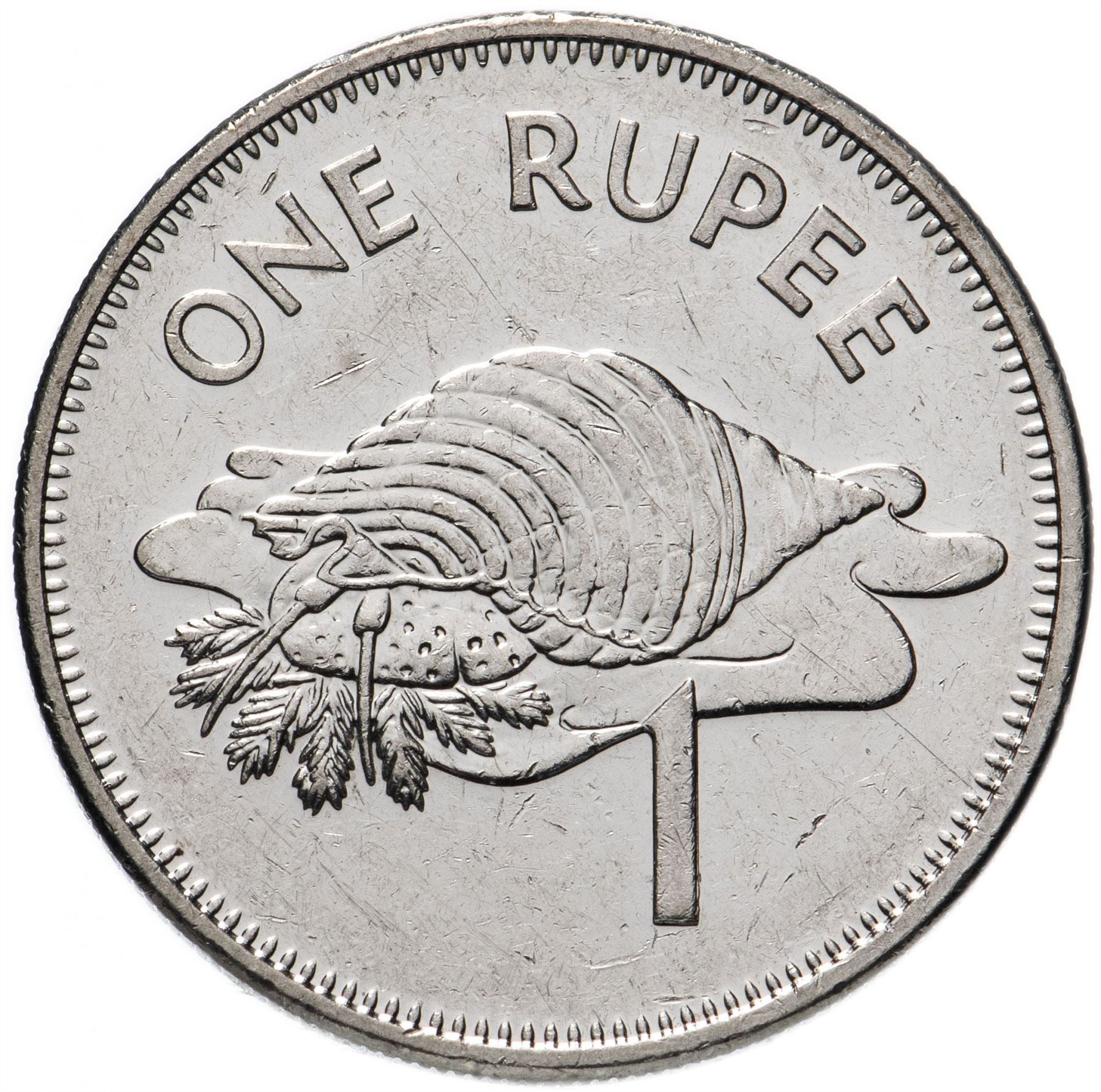 Conch Coin Stack Seychelles 1 Rupee Coin | Triton Conch Shell | KM50a | 2010