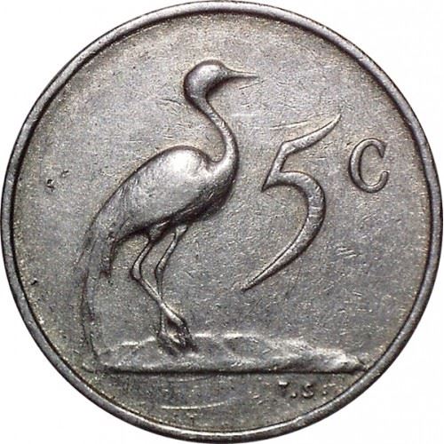 South Africa 5 Cents Coin | Afrikaans Legend - SUID-AFRIKA | KM67.2 | 1965 - 1969