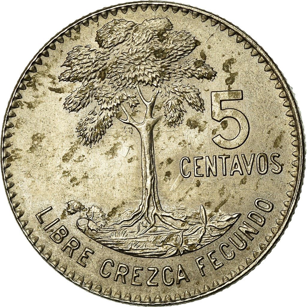 Guatemala | 5 Centavos Coin | Kapok Tree | Km:266 | 1965 - 1970