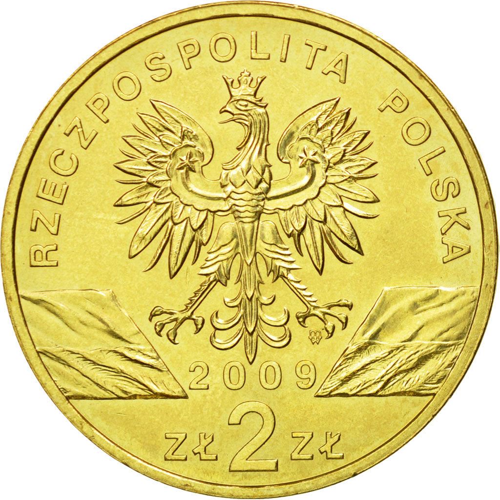 Poland | 2 Zlotys Coin | Jaszczurka zielona | Y:678 | 2009